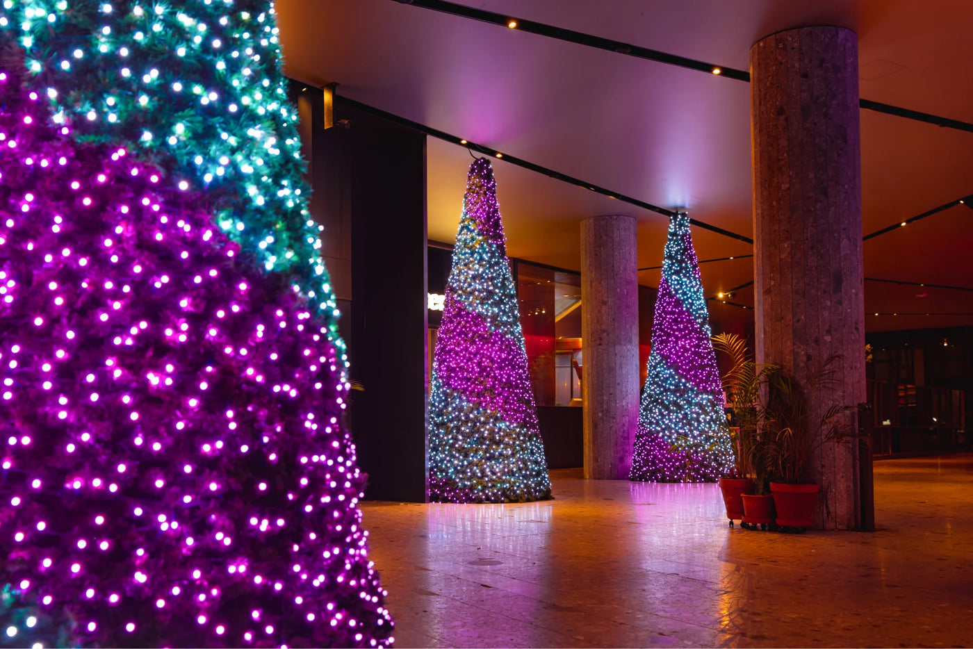 Christmas installations like never before2