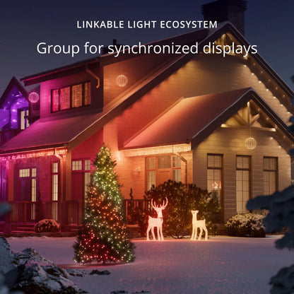 Twinkly 3D Reindeers Doe